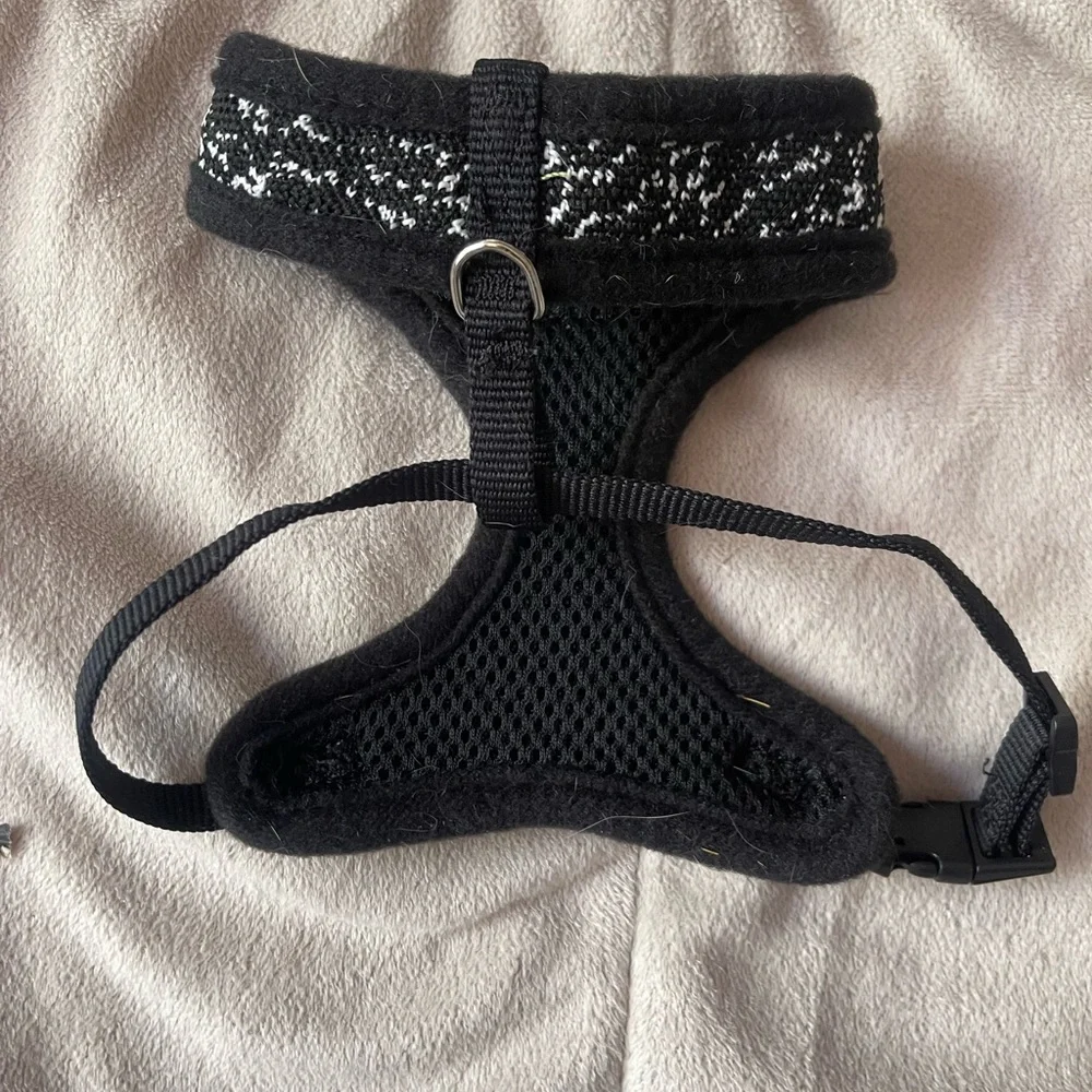 Kitten Harnesses(2) and Leash
